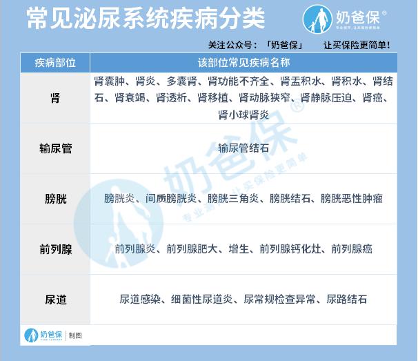 泌尿系统疾病分类