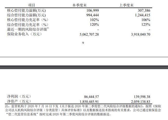 偿付能力
