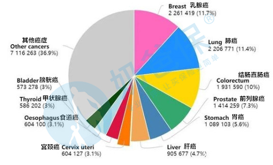 2020年癌症新发病例数量及发病率情况